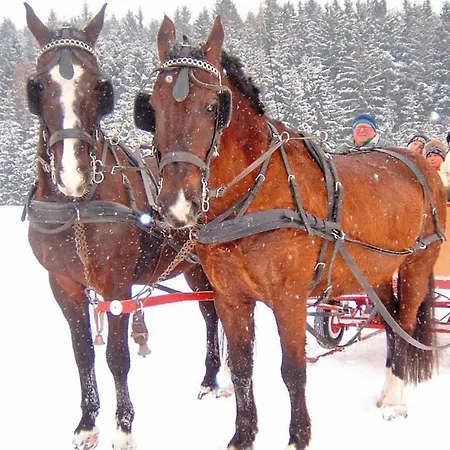 Holzhaus Hirschalm *