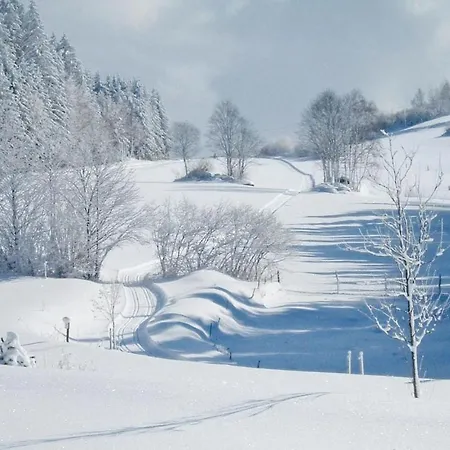 Holzhaus Hirschalm